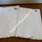 レイジブルー2014年福袋中身-Tシャツ