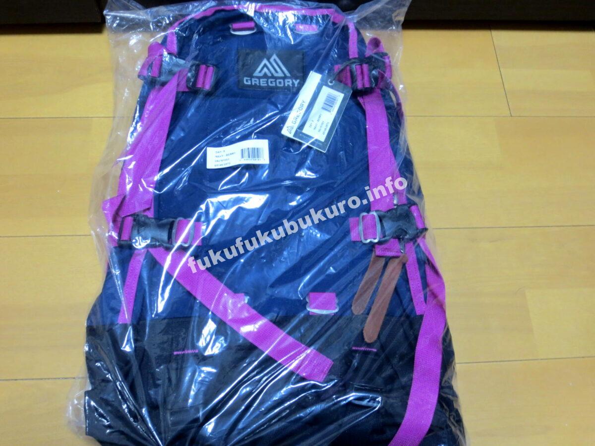 デイアンドハーフパックグレゴリーバッグ2019年福袋中身公開ネタバレ